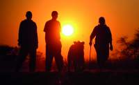 Namibia, Bostwana, Simbabwe, Südafrika - Gruppenreise Delta & Krüger (Lodgetour)